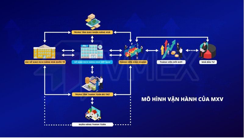 Thị trường giao dịch hàng hóa tại Việt Nam