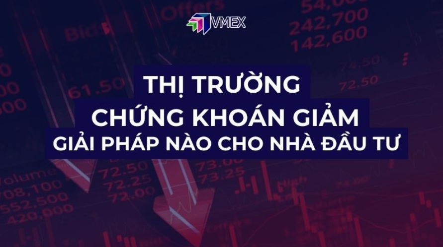 Thị trường chứng khoán giảm – Giải pháp nào cho nhà đầu tư