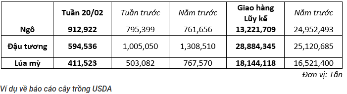 Tất cả các hợp đồng tương lai sẽ có một bản báo cáo dành riêng cho từng lĩnh vực