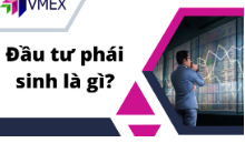 Đặc điểm chính của đầu tư phái sinh