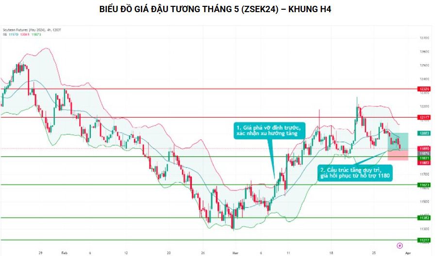 Phân tích kỹ thuật nhóm đậu tương