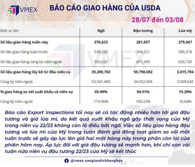Xem báo cáo nông sản ở đâu?