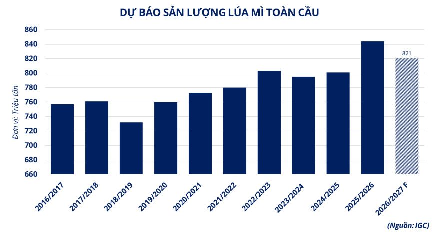 Lúa mì phục hồi mạnh trước loạt rủi ro nguồn cung