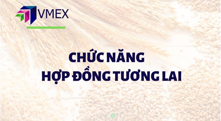Chức năng của hợp đồng tương lai.