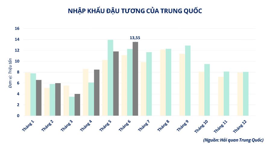 Trung Quốc quay lại mua đậu tương, giá thế giới đồng loạt tăng