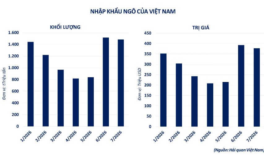 Nhập khẩu ngô của Việt Nam