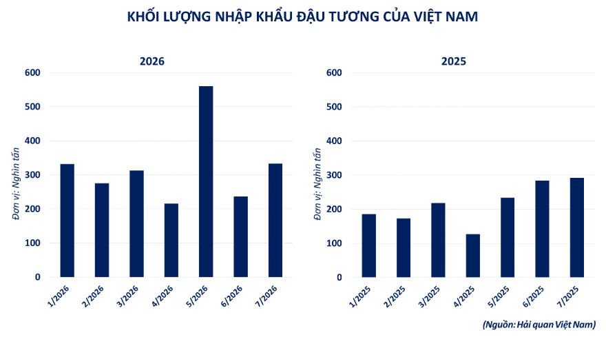 Khối lượng nhập khẩu đậu tương tại Việt Nam