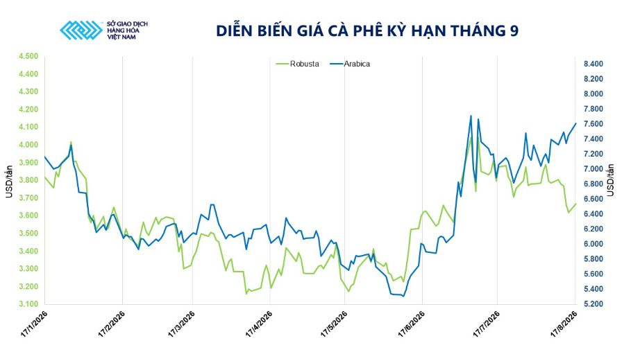 Diễn biến giá cà phê kỳ hạn tháng 9