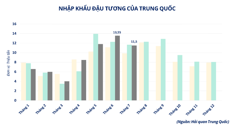 Đơn hàng lớn từ Trung Quốc làm nóng thị trường đậu tương