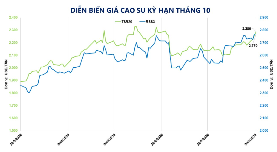 Giá cao su TSR20 neo ở vùng đỉnh 9 năm
