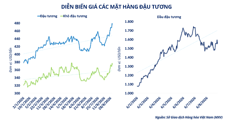 Nhóm họ đậu chịu áp lực điều chỉnh từ hoạt động chốt lời kỹ thuật