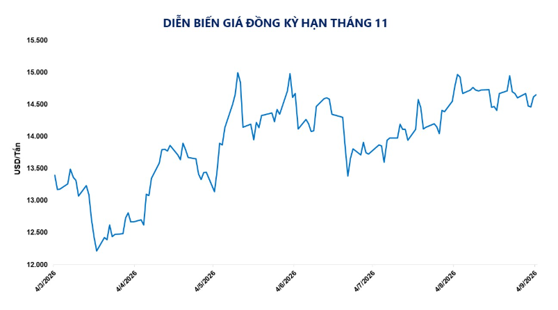 Diễn biến giá đồng thì hạn tháng 11