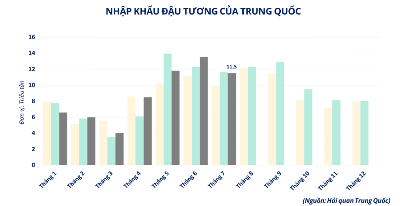 Nhập khẩu đậu tương của Trung Quốc