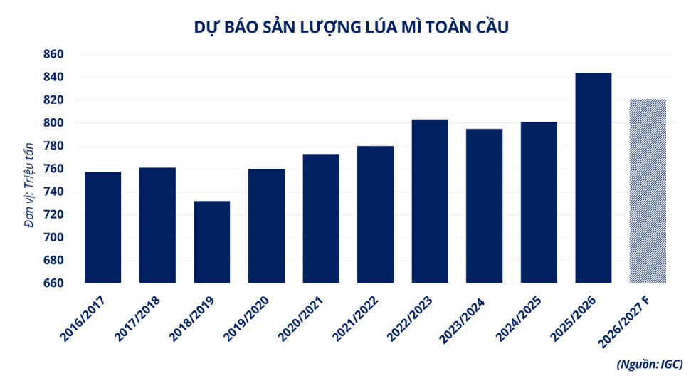 Nguồn cung lúa mì vụ mới dồi dào, rủi ro Biển Đen chưa được gỡ bỏ