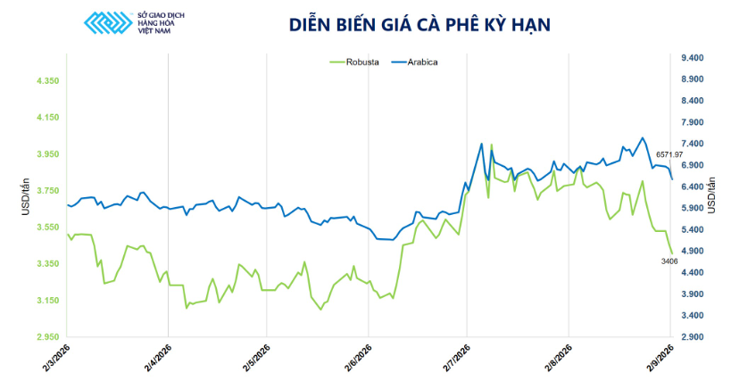 Giá cà phê giảm phiên thứ ba liên tiếp, Robusta rơi xuống sát đáy ba tháng