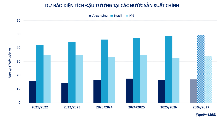 Đậu tương tăng giá khi Trung Quốc trở lại mua hàng Mỹ