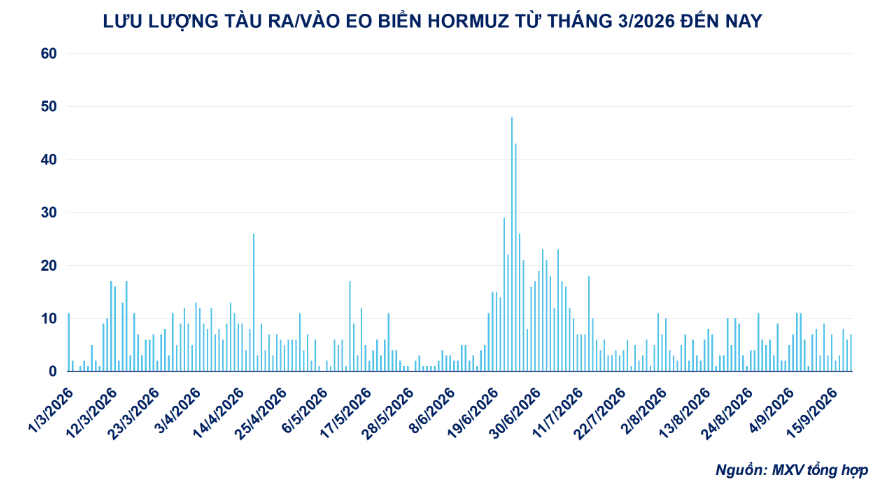Lưu lượng tàu 3/2026