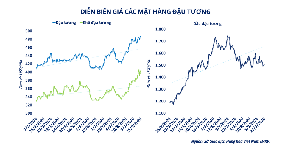 Trung Quốc tăng mua, giá đậu tương bật tăng