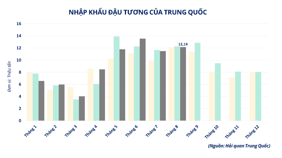 Nhập khẩu đậu tương của Trung Quốc