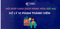 Các hình thức xử lý thành viên vi phạm của MXV