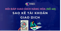Quy trình sao kê tài khoản tại MXV?